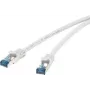 Tinklo kabelis Renkforce RJ45 CAT 6a S/FTP 0,25 m pilkas