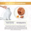 Purina Gourmet Gold Savoury Cake šlapias maistas katėms 48x85 g