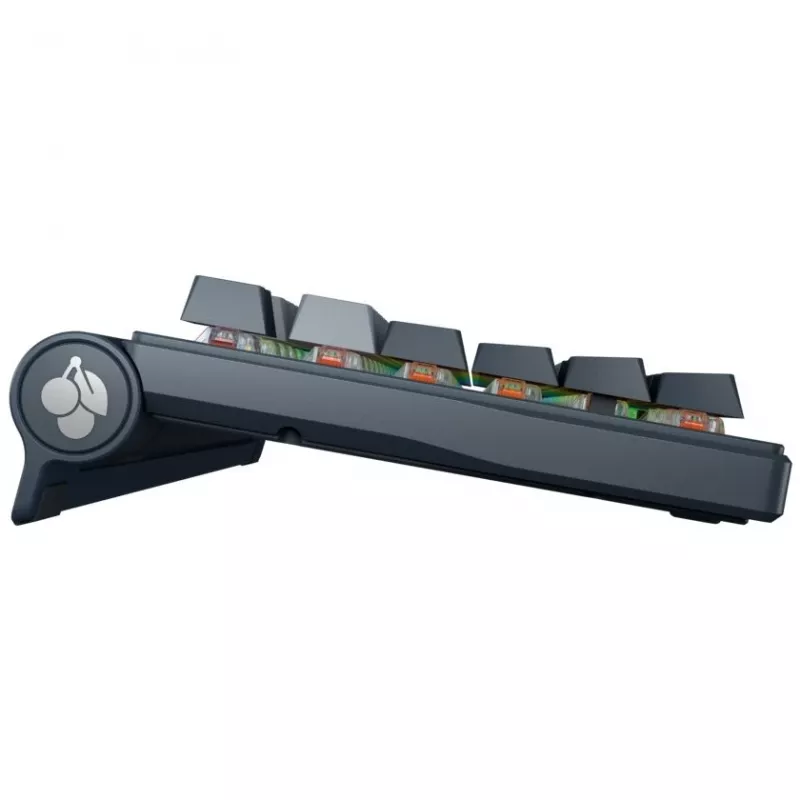 Mechaninė klaviatūra Cherry MX 8.3 Wireless RGB Red Switch DE layout