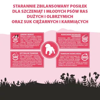 PUPIL Premium Junior Large and extra large breeds Rich in beef - sausas šunų ėdalas - 12 kg