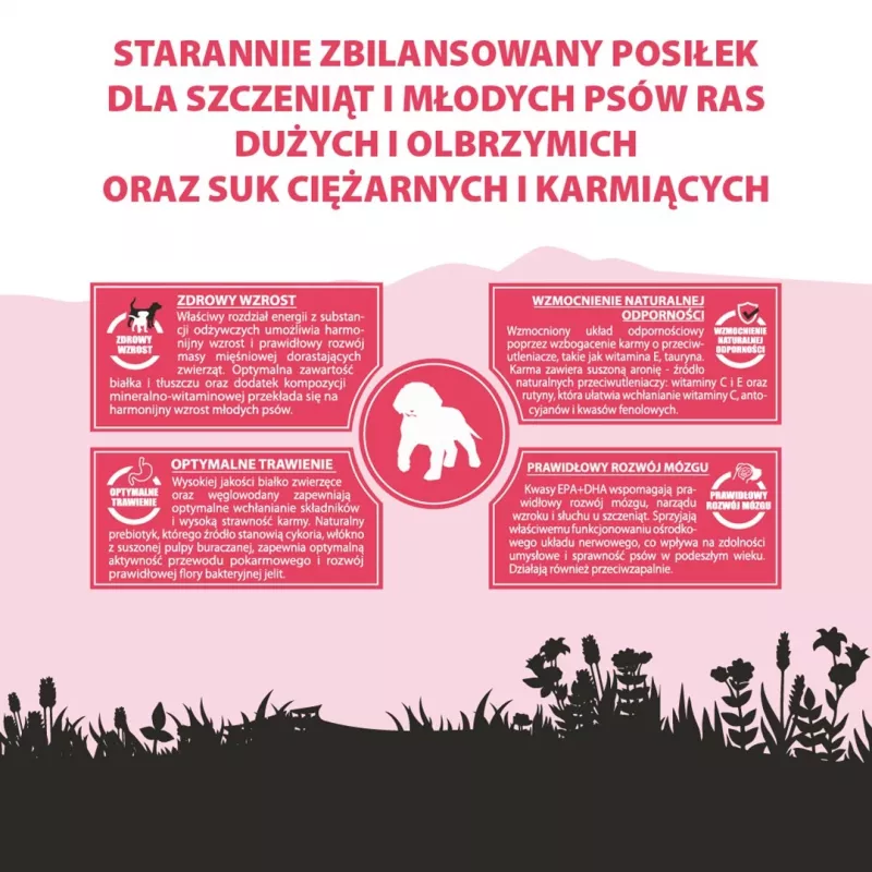 PUPIL Premium Junior Large and extra large breeds Rich in beef - sausas šunų ėdalas - 12 kg