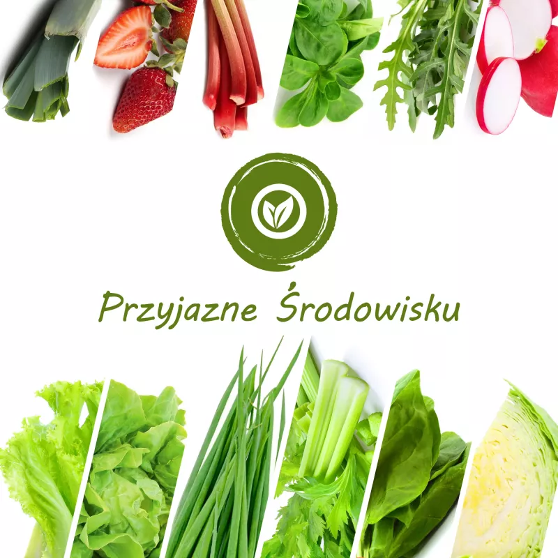 TORAF Spring Flavors sėklų rinkinys – 12 pakelių