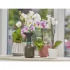 Purkštuvas Gardena 11110-20 0,75 L juodas