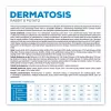 Sausas šunų ėdalas VETEXPERT Dermatosis Triušis ir Bulvė 12 kg – veterinarinė dieta odos būklei palaikyti