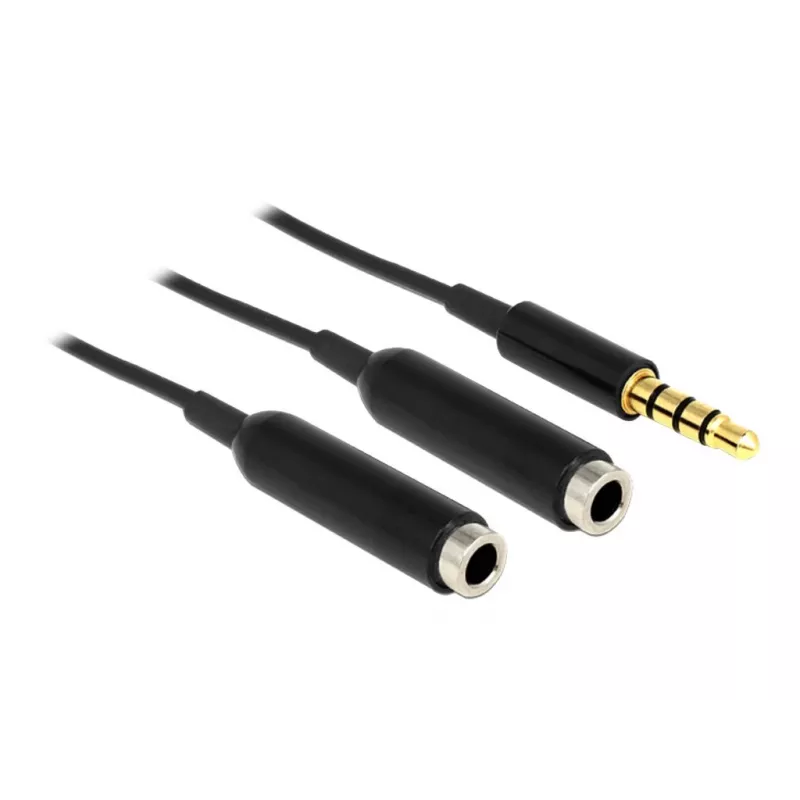 Garso kabelis DeLOCK 65575 0,25 m 3,5 mm 2 x 3,5 mm Juodas