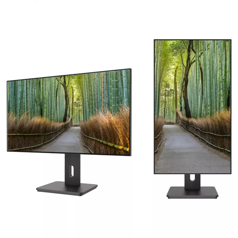 JAPANNEXT JN-27IPS4FLWQHDR-HSP 27 colių WQHD IPS plokščias monitorius