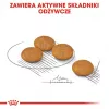 ROYAL CANIN Mini Dermacomfort - sausas ėdalas suaugusiems mažų veislių šunims su jautria oda, linkusia į dirginimą - 3kg