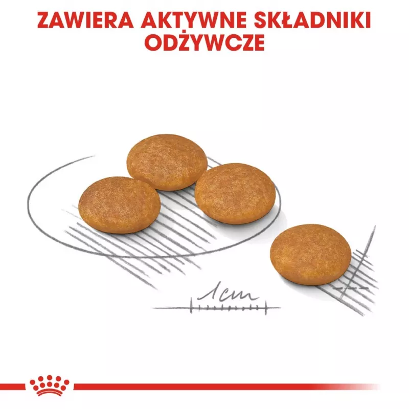 ROYAL CANIN Mini Dermacomfort - sausas ėdalas suaugusiems mažų veislių šunims su jautria oda, linkusia į dirginimą - 3kg