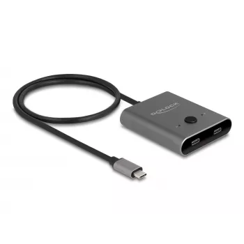 DeLOCK 11500 USB 3.2 Gen 2 Type-C jungiklis 10000 Mbit/s 144 Hz