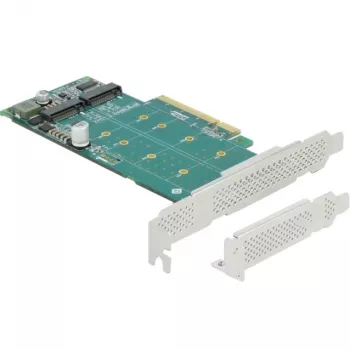 DeLOCK PCI Express x8 kortelė su 2 vidiniais NVMe M.2 Key M lizdais, bifurkacija, Low Profile formato