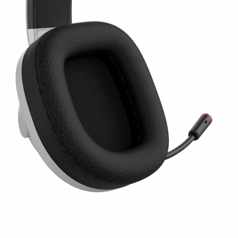 Ausinės CANYON EGO GH-15 2in1 BT White