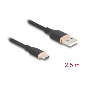 USB laidas DeLOCK 81227 2,5 m USB A – USB C juodas