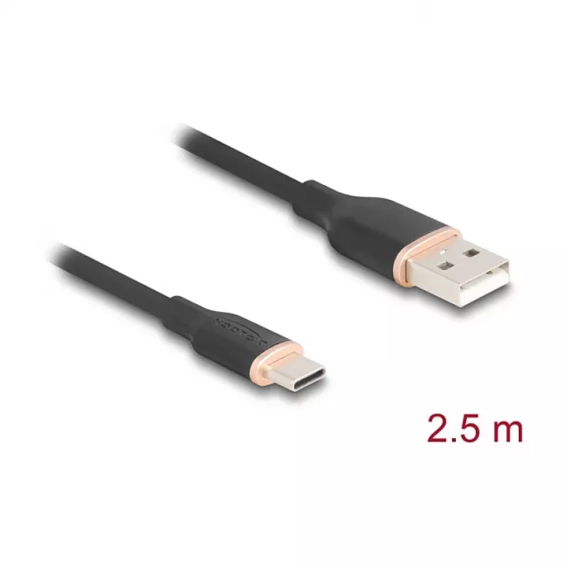 USB laidas DeLOCK 81227 2,5 m USB A – USB C juodas