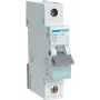 Hager MBN116 vienpolis elektrinis jungiklis