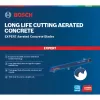 Bosch Expert 2 608 900 410 pjūklo geležtė stūmokliniam pjūklui, karbidinė, 1 vnt.