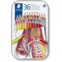 Spalvoti pieštukai Staedtler 175 Multicolour 36 vnt.