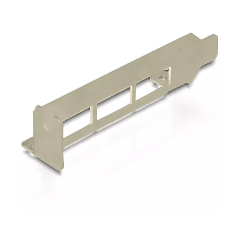DeLOCK 89281 USB 3.2 Gen 1 sąsajos plokštė PCIe