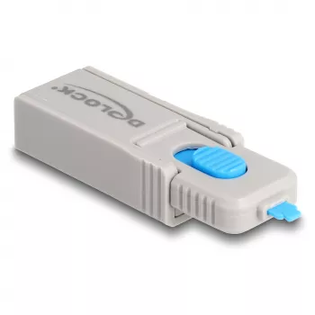 Prieigos raktas DeLOCK 20969 DisplayPort HDMI USB-A USB-C pilkas