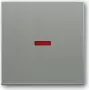 Busch Jaeger 1751-0-3013 Jungiklis Pilkas Plastikas (1751-0-3013)