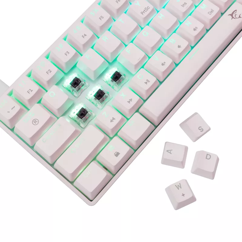 Mechaninė klaviatūra White Shark Shinobi-2 Brown Switch US išdėstymas – kompaktiškas dizainas, rudi jungikliai