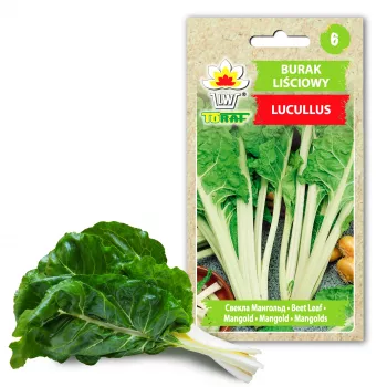 Lucullus Leaf Beet Toraf daržovių sėklos, 5g pakuotė