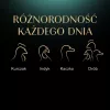 SHEBA Nature's Collection Paukštienos skoniai drebučiuose - šlapias ėdalas katėms - 40 x 85 g