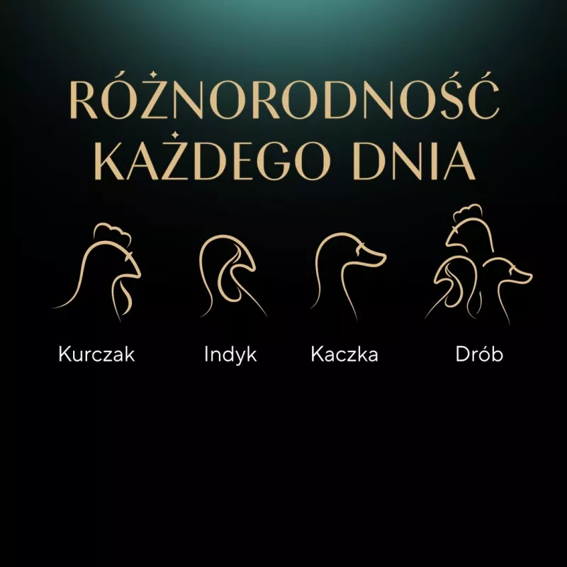 SHEBA Nature's Collection Paukštienos skoniai drebučiuose - šlapias ėdalas katėms - 40 x 85 g