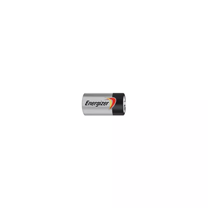 Vienkartinė baterija Energizer 2x Classic D 1,5V LR20