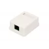 Extralink lizdas montuoti ant sienos, 1x RJ45 CAT5E UTP