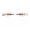 HDMI kabelis DeLOCK 85729 2 m HDMI A tipas standartinis juodas auksinis