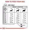 Sausas šunų ėdalas Royal Canin Anallergenic Small 1,5 kg – hipoalerginė suaugusių mažų veislių formulė