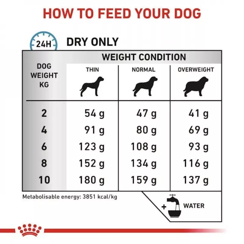 Sausas šunų ėdalas Royal Canin Anallergenic Small 1,5 kg – hipoalerginė suaugusių mažų veislių formulė