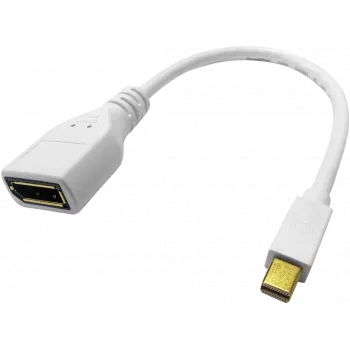 ROLINE DisplayPort adapteris Mini DisplayPort (kištukas) į DisplayPort (lizdas) juodas 12.03.3163