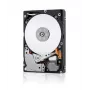 Lenovo 00NA272 1,8 TB 10K 12Gbps SAS 2,5 col. Hot-Swap HDD diskas (Gen3)