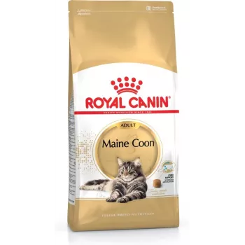 Sausas kačių ėdalas Royal Canin Maine Coon Adult 4 kg – vištiena, 31% baltymų, 20% riebalų