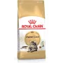Royal Canin FBN Maine Coon Adult sausas maistas katėms, 4 kg