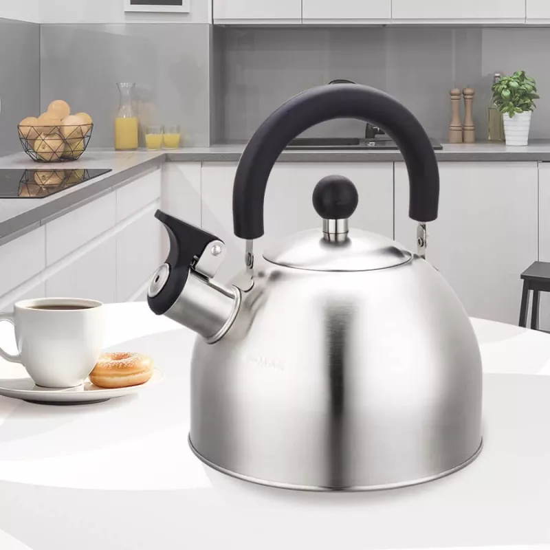 Virdulys Maestro MR-1300 2 L Sidabrinis