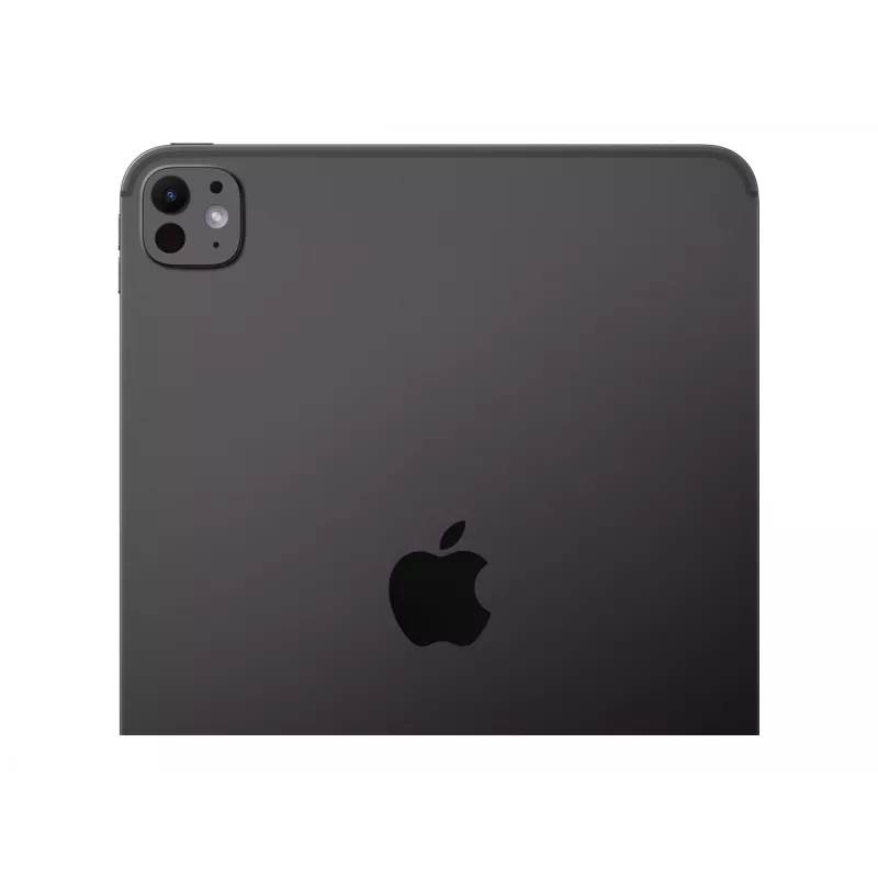 Apple iPad Pro 11 colių Wi‑Fi + Cellular 256GB su standartiniu stiklu – Kosminė juoda