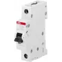 Automatinis jungiklis ABB STOTZ-KONTAKT 2CDS251001R0278 1 poliaus, 1 A, B charakteristika