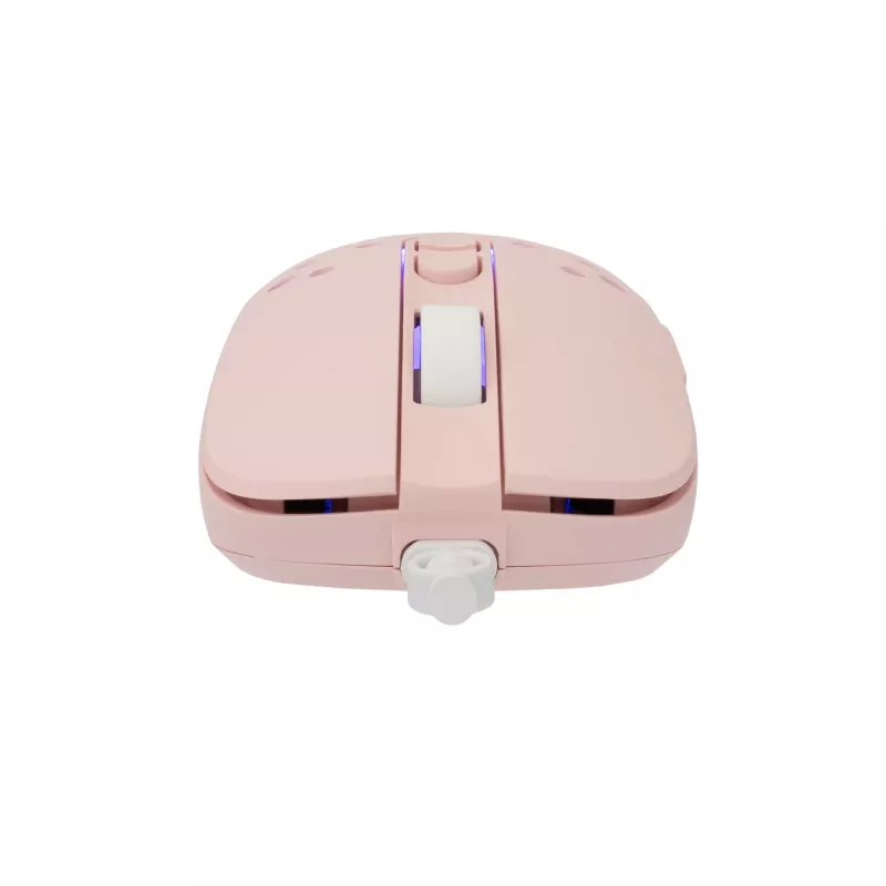 Pelė White Shark GM-9004 Tristan-2 rožinė RGB USB