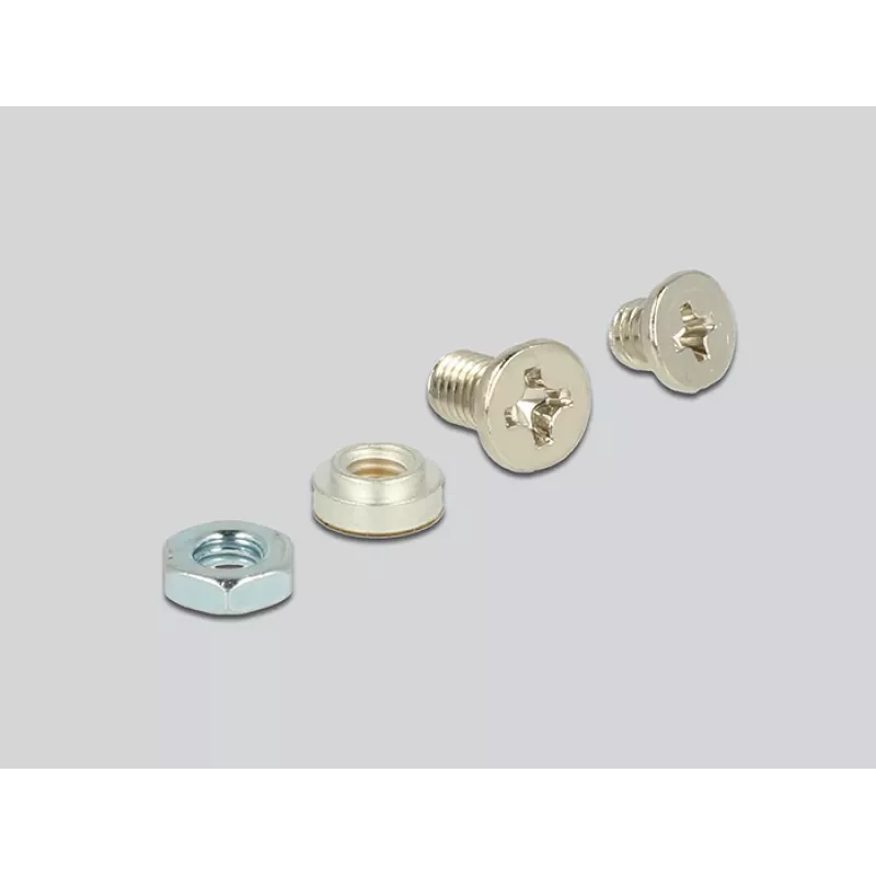 Vidinis M.2 adapteris DeLOCK 62865