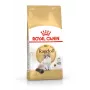 Sausas kačių ėdalas Royal Canin Ragdoll Adult 2 kg – vištiena, 32% baltymų, 18% riebalų