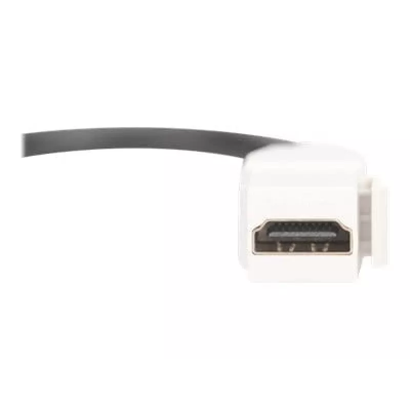 Digitus HDMI 2.0 Keystone modulis su 12 cm kabeliu (Moteris/Moteris)