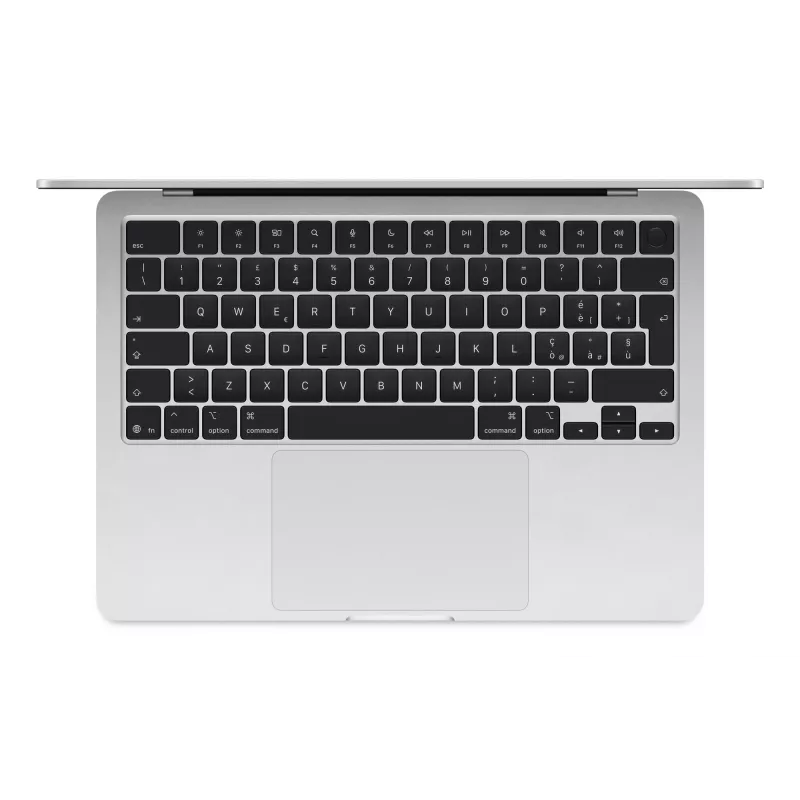 Apple MW0W3D/A atminties modulis sidabrinis