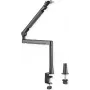 Boom arm ROLINE 17.03.0117
