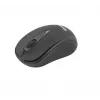 Belaidė pelė Tellur Basic Mini Black 2,4 GHz