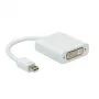 ROLINE Mini DisplayPort-DVI adapteris, Mini DP kištukas – DVI lizdas (12.03.3128)