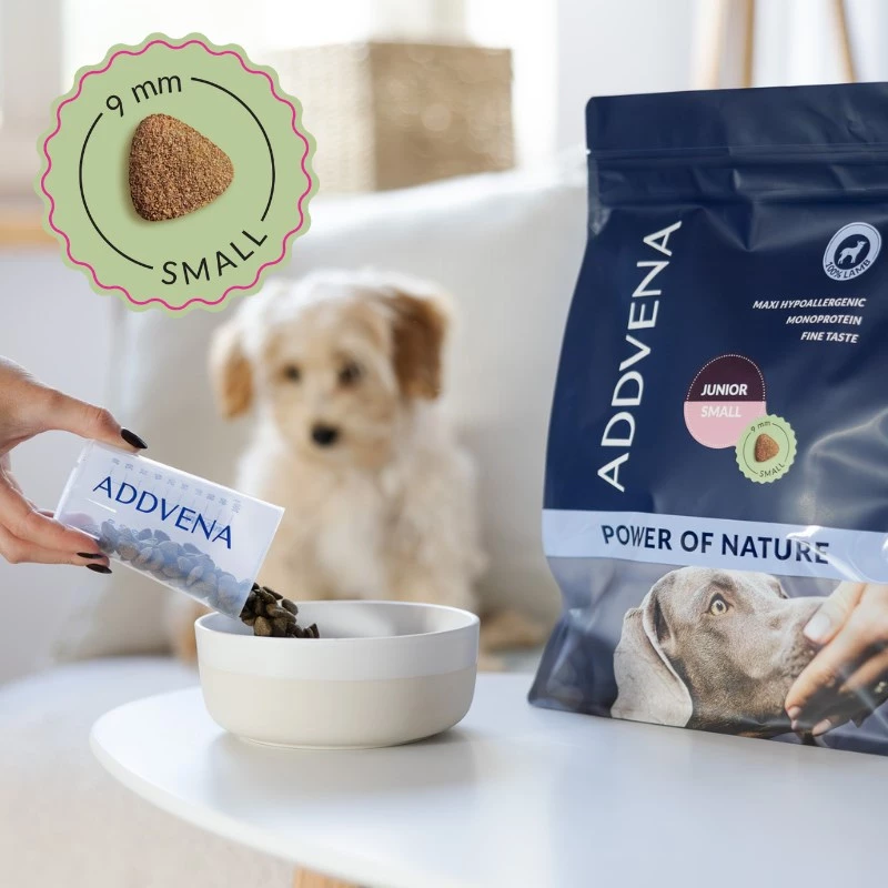 ADDVENA Power of Nature Junior Small ėriena - sausas šunų ėdalas - 10 kg