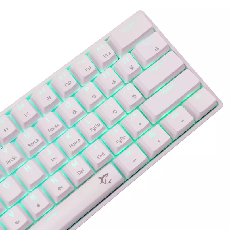 Mechaninė klaviatūra White Shark Shinobi-2 Brown Switch US išdėstymas – kompaktiškas dizainas, rudi jungikliai