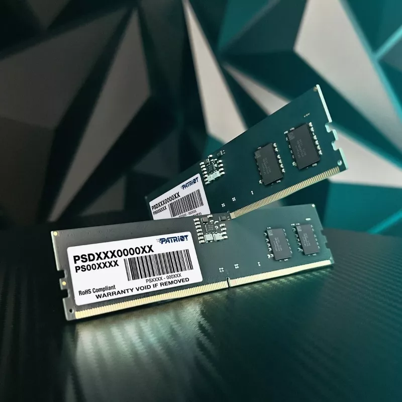 Atminties modulis PATRIOT Signature 16 GB DDR5 4800 MHz ECC 288-pin UDIMM 1.1 V